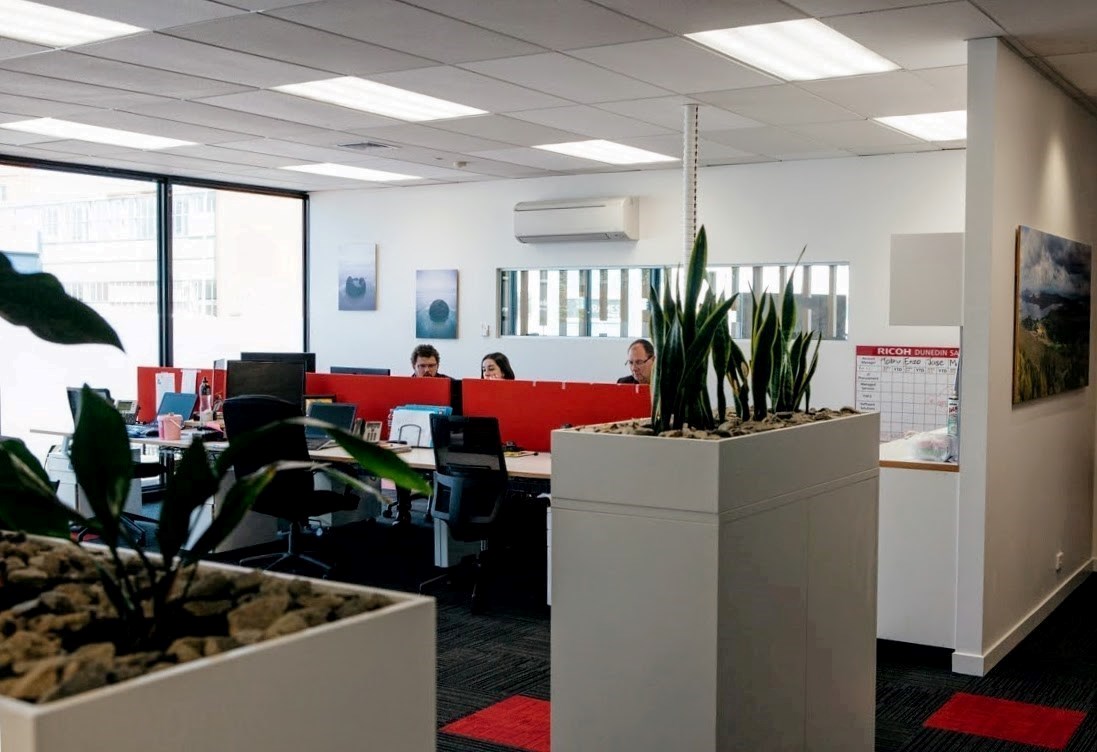 commercial interior design dunedin office fit out