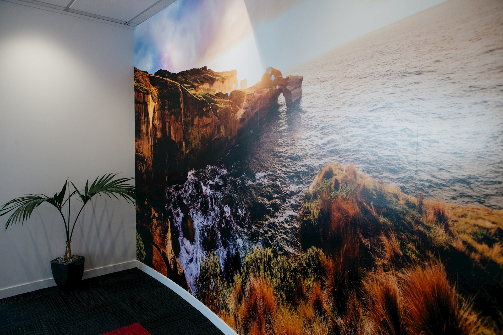 large format printing and installation