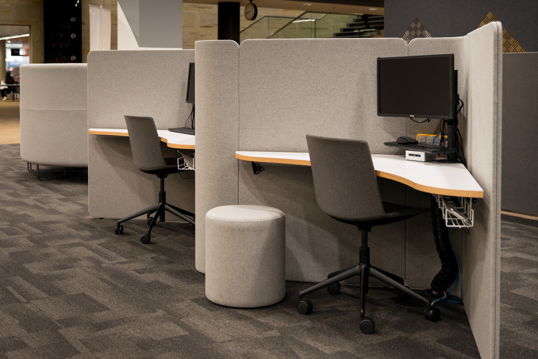 office and workspace design dunedin