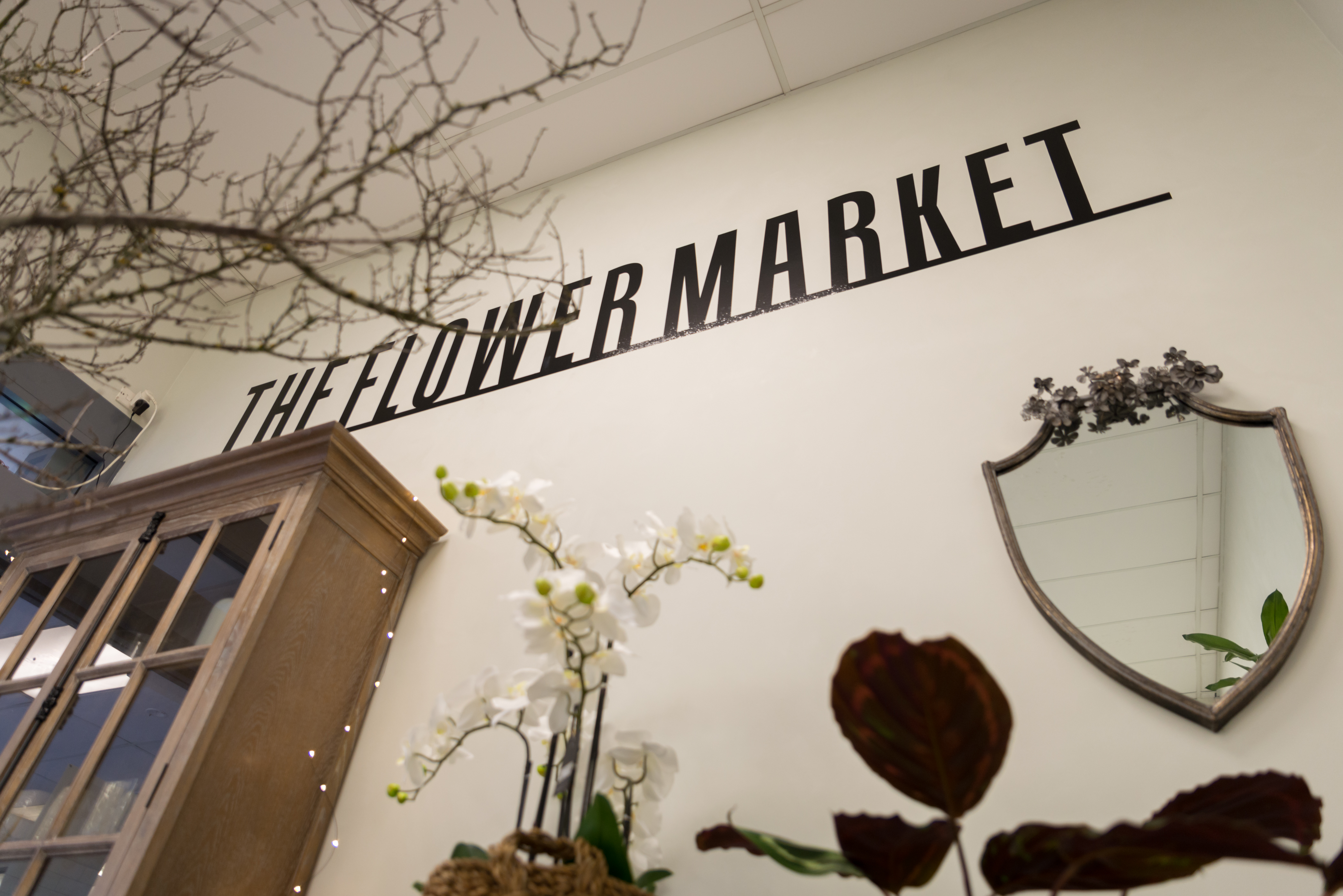 commercial design retail dunedin