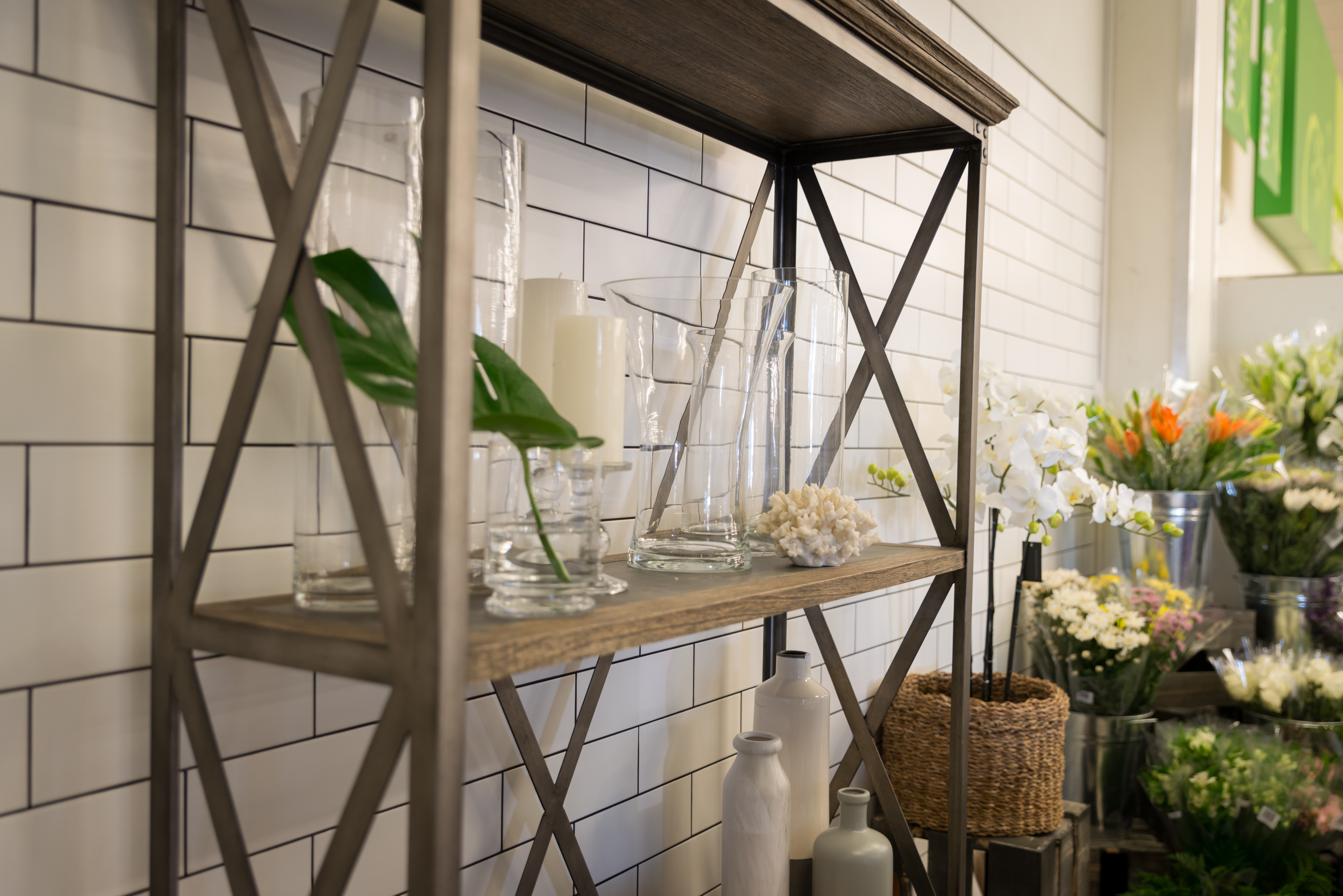 project management and fitout dunedin