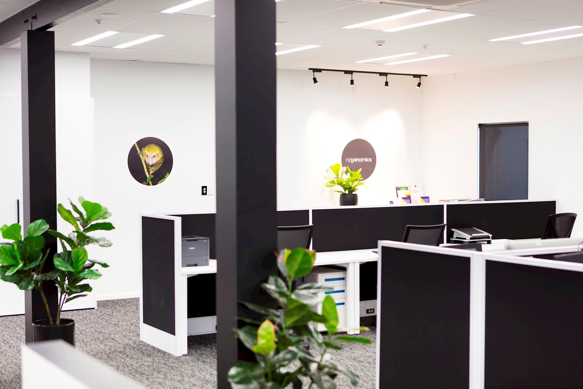 commercial interior design dunedin