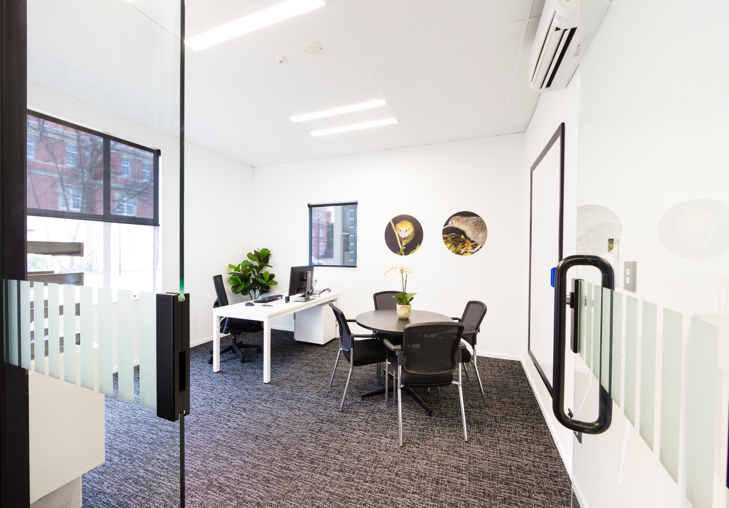 office fit out interior design queenstown thumbnail