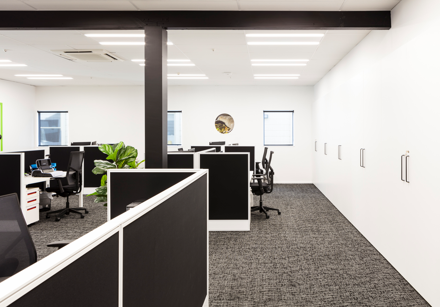 Commercial Office Fitout, Otago | Miller Creative Group