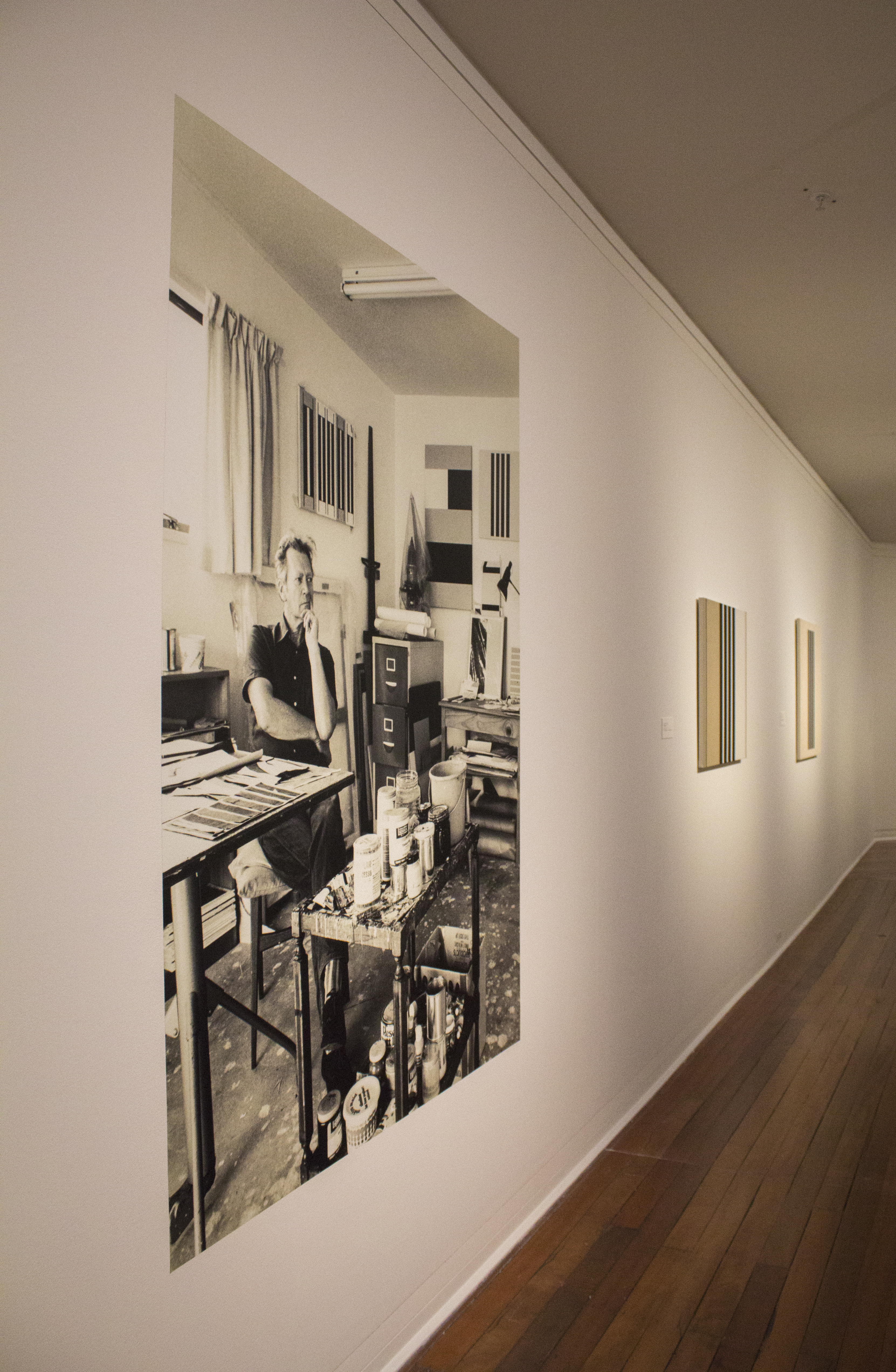 display signs dunedin signage large format print