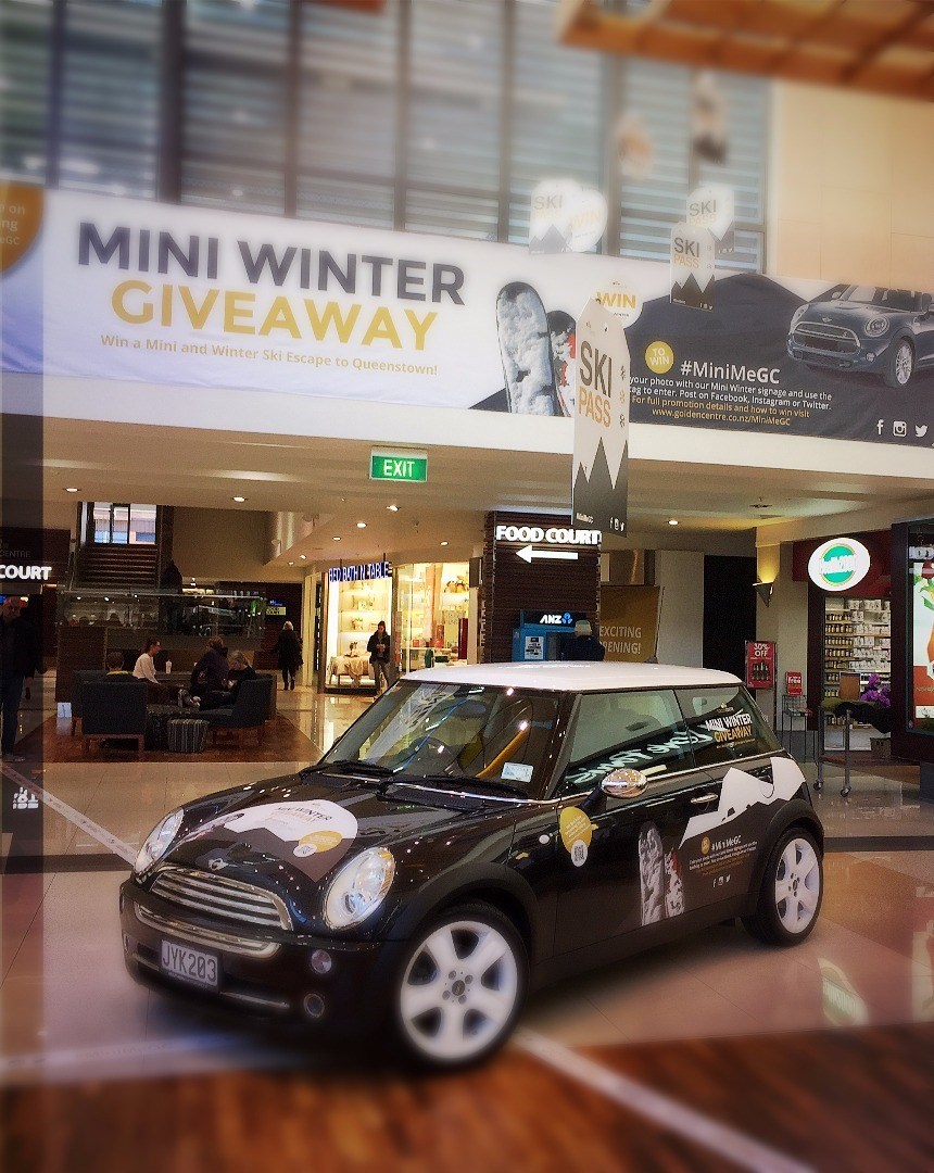 vehicle signage brand identity dunedin signs