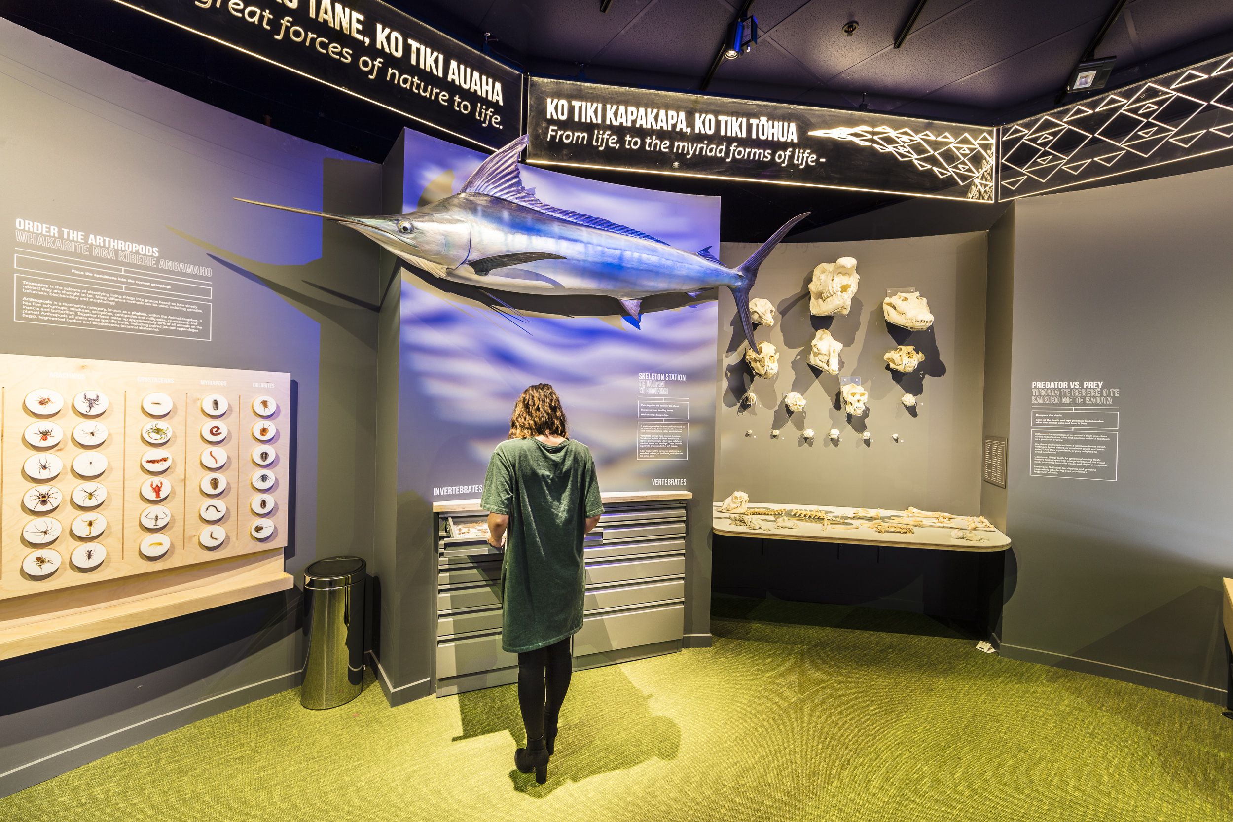 Dunedin exhibition signage company