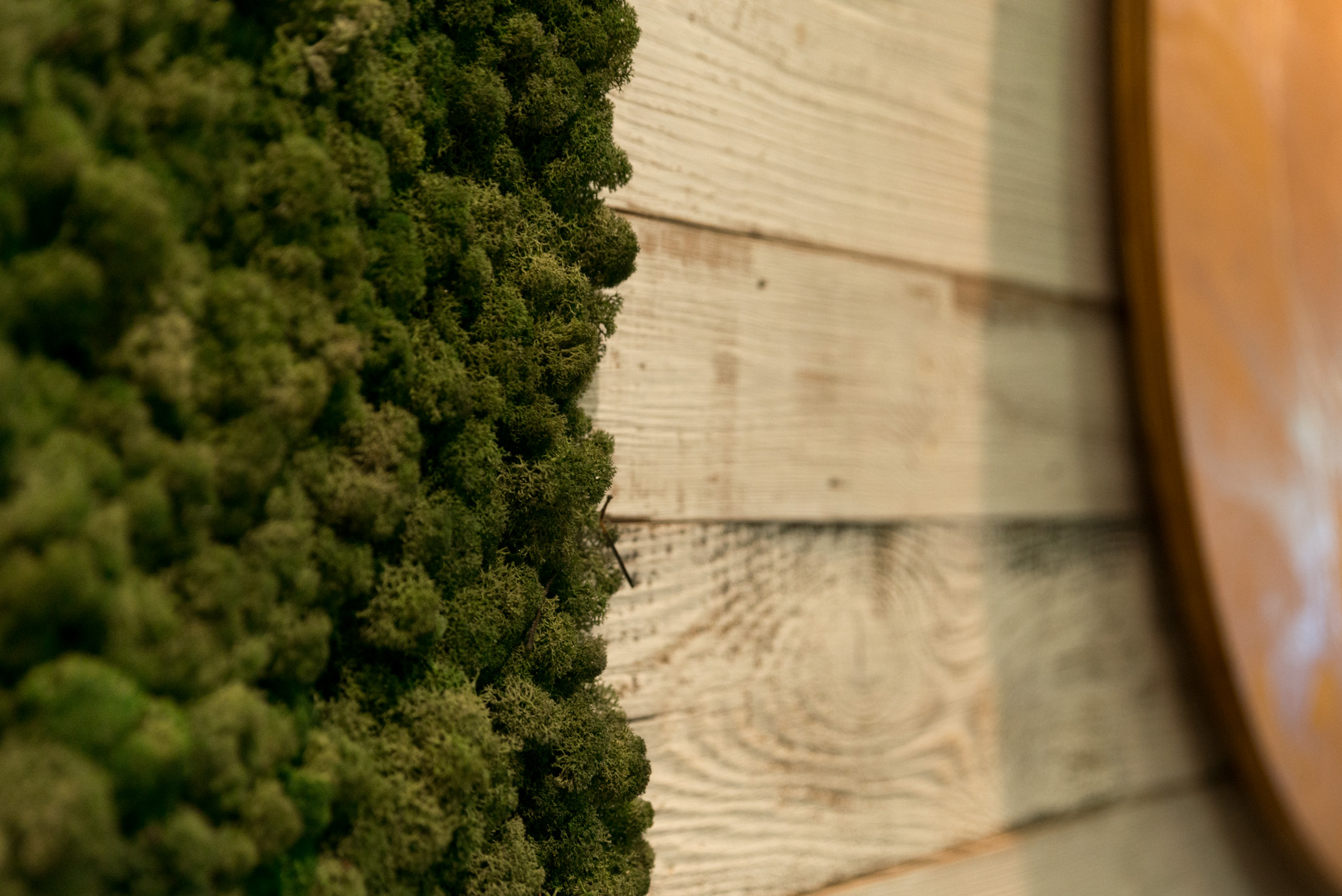 material details hoyts christchurch