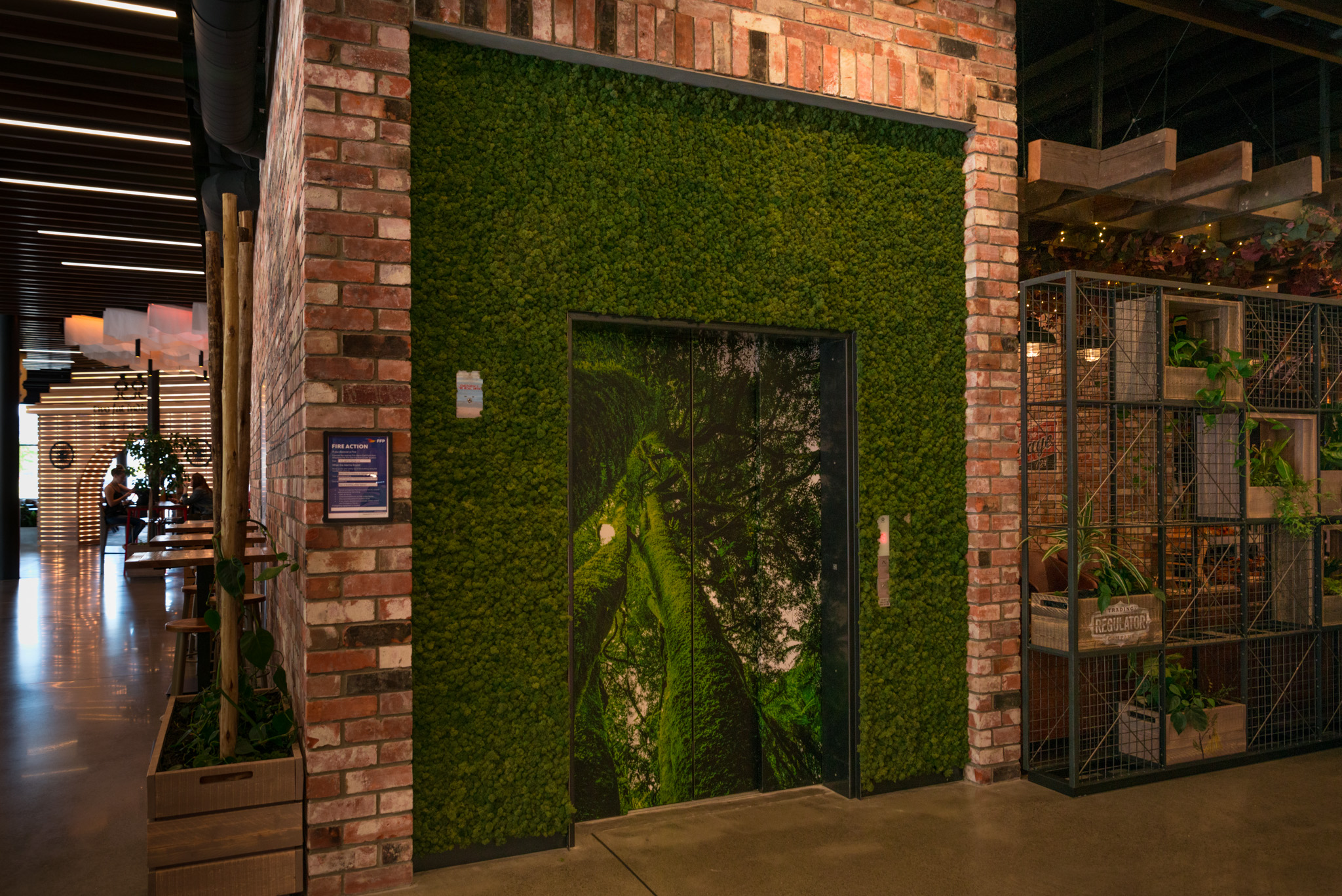 green wall fit out christchurch