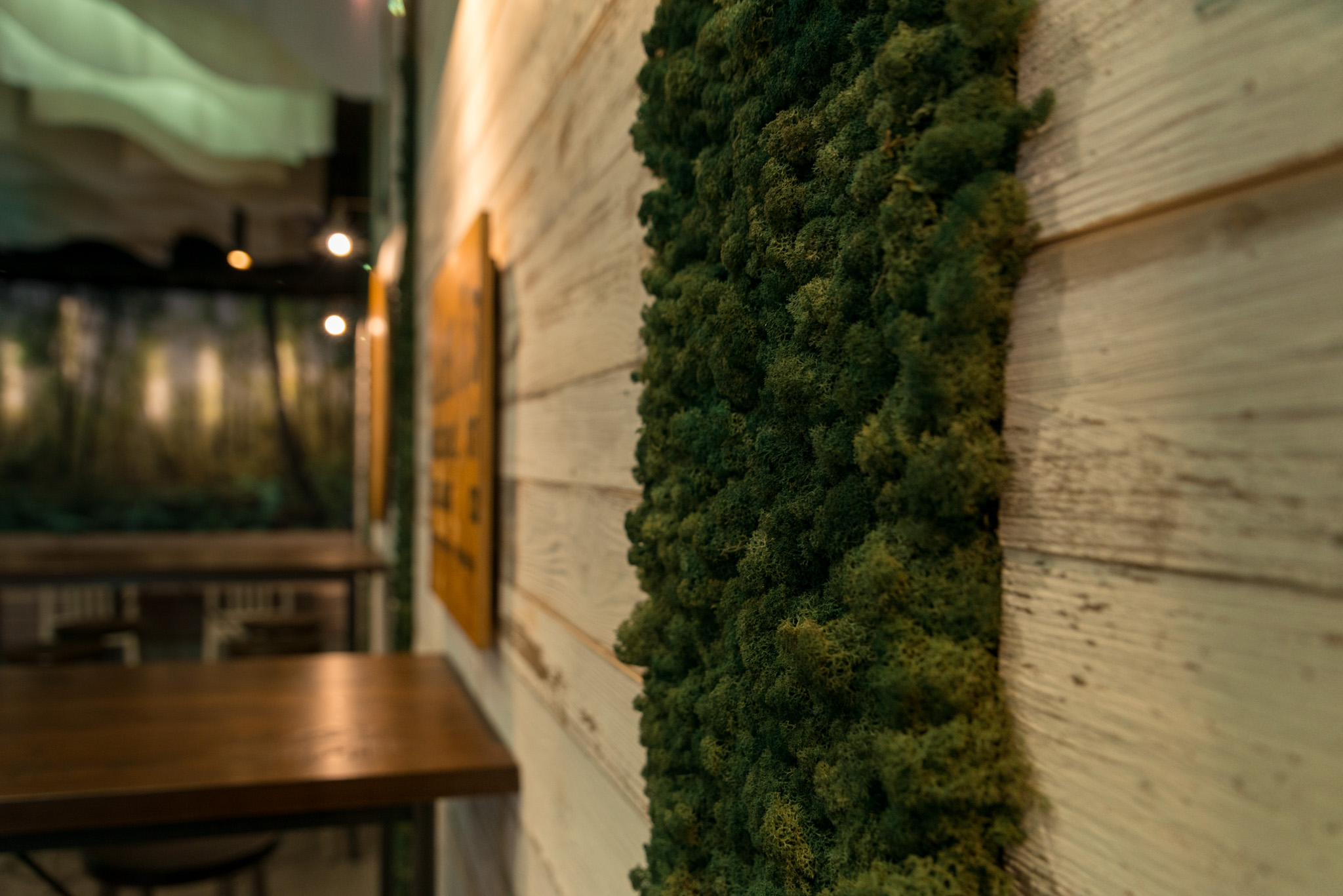 moss wall hospitality fit out christchurch thumbnail