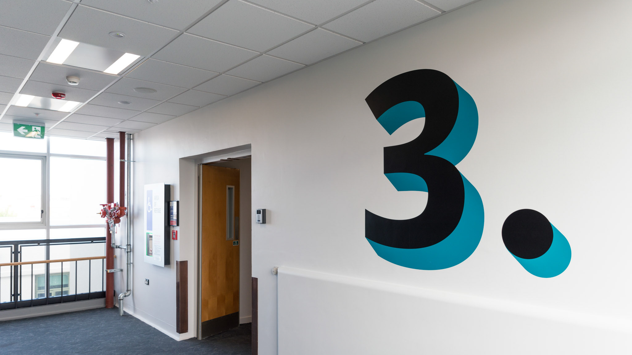 Large Wall Graphic, Dunedin