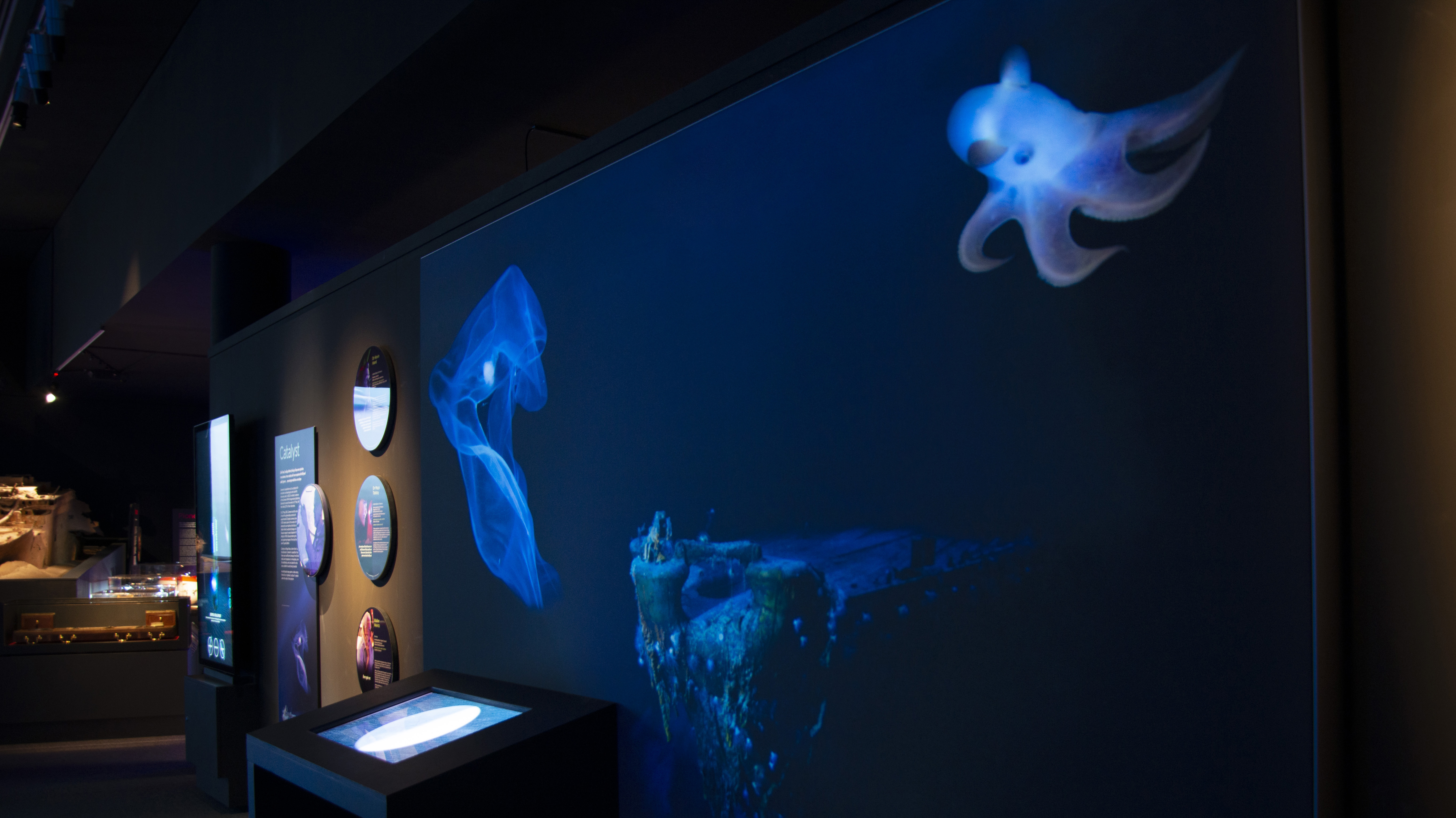 Led lightbox signs manufactured and installed by Dunedin signwriters